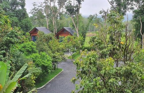 Thung Song Apartamento | บ้านสวนเรินย่า(เรินย่าคาเฟ่)
