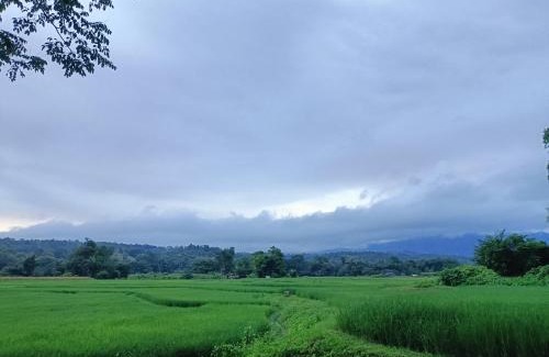 Mueang Pan Complejo | บ้านสวนเฮือนแก้ว แจ้ซ้อน โฮมสเตย์