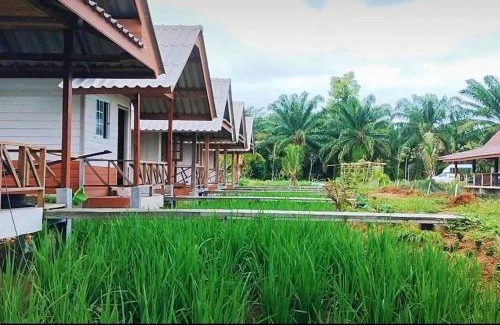 Takua Pa Casa | ปารมีฟาร์มสเตย์