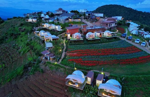 Mae Rim Otro | ป๋ายดอย ม่อนแจ่ม
