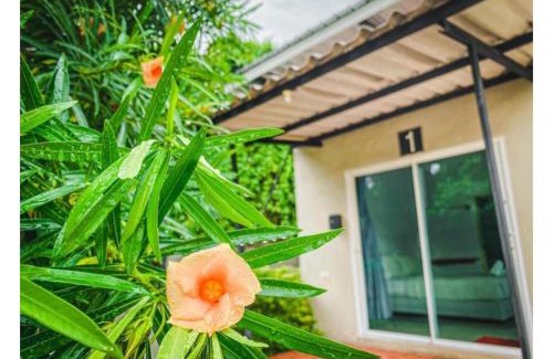 Nai Mueang Complejo | พักดีรีสอร์ท 2