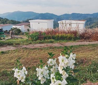 Mae Rim Casa | ภูศิโยน ม่อนแจ่ม