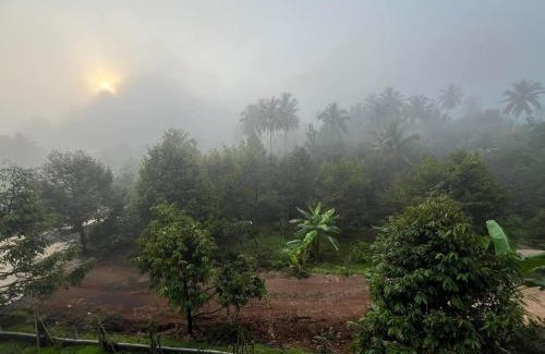 Thong Pha Phum Casa | มาค่ะ ฟาร์มสเตย์ ห้วยเขย่ง สวนคุณตา สวนทุเรียนทองผาภูมิ