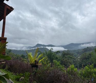 Doi Lo Casa | รักเขาอินทนนท์โฮมสเตย์ Doi inthanon Homestay