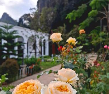 Chiang Dao Casa | วีรพัชนารา