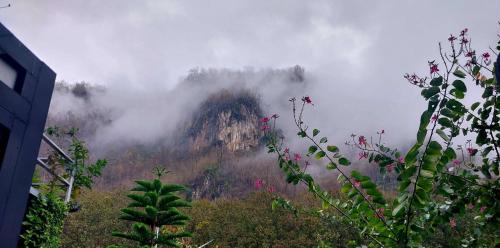 Chiang Dao Casa | วีรพัชนารา