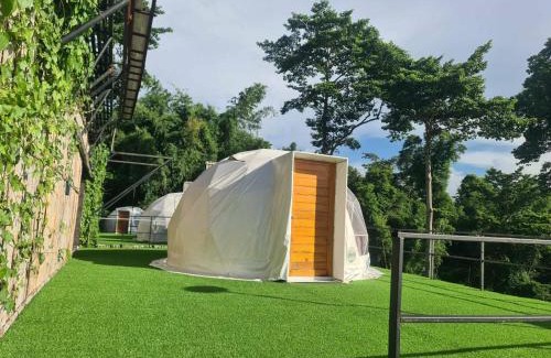 Si Racha Otro | ศูนย์ฝึกอบรมสวนสัตว์เปิดเขาเขียว JJJ