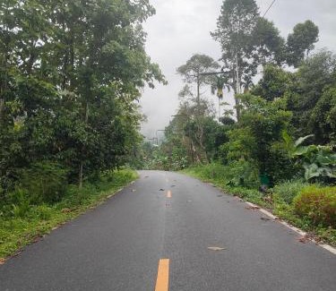 Phrom Khiri Cama Y Desayuno | สถานีน้ำหวาน รีสอร์ท น้ำตกอ้ายเขียว