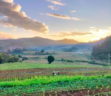 Huai Makhuea Som Otro | สวนไร่รุ่งอรุณ Suan Rai Rungarun