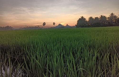 Cha-am Casa | สุขเสมอ โฮมสเตย์ (Suk-Samer homestay)