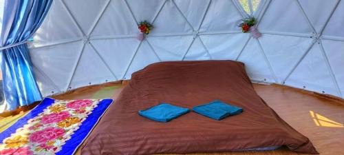 Mae Rim Otro | ฮิมดอย แคมป์ปิ้ง