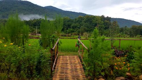 Pua Casa | ฮ้างนาตาจันทร์