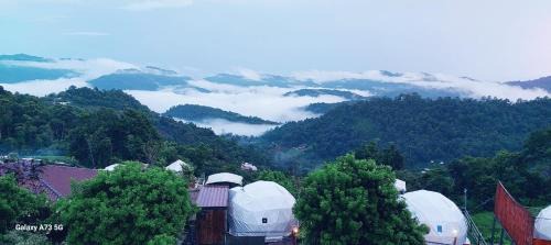 Mae Rim Otro | ไร่สายหมอก