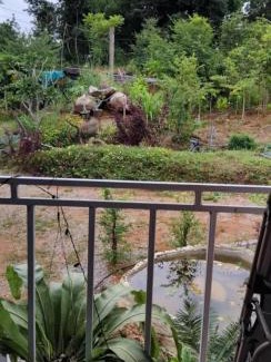 Phakdi Chumphol Otro | ไร่เจาทองรีสอร์ท