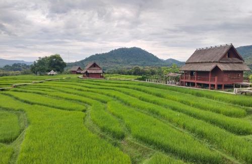 Luang Prabang Casa | ເຂົ້າໜຽວຟາມສະເຕ-Kao Niaw Farmstay