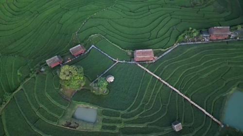 Luang Prabang Casa | ເຂົ້າໜຽວຟາມສະເຕ-Kao Niaw Farmstay