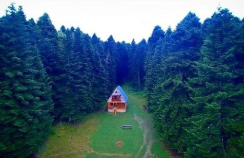 Ambrolauri Chalet De Esquí | ხის სახლი