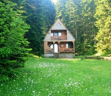 Ambrolauri Chalet De Esquí | ხის სახლი