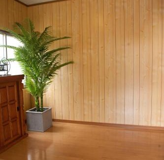 Gujo Apartamento | お宿葉の光