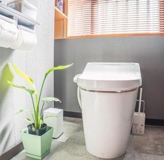 Nago Casa | やんばるの自然に囲まれた一棟貸し切りの古民家宿