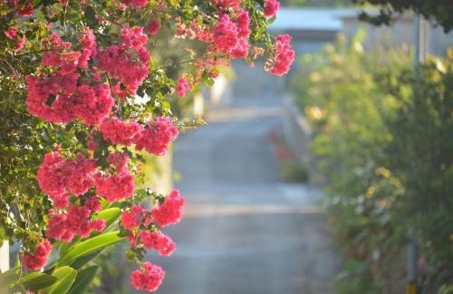 Kabira Casa | イリワ -stay&coffee iriwa-