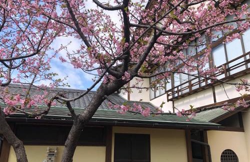 Isawa Onsen Casa | フクロウの御宿 石和館