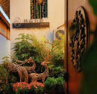 Dayan Old Town Casa | 丽江林森有鹿雪山观景民宿