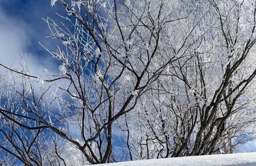 Nakajimakoen Apartamento | 今年新規OP 最大9人 すすきのエリア 札幌観光に抜群の立地 空港直通バス停すぐ 高速Wi-Fi完備
