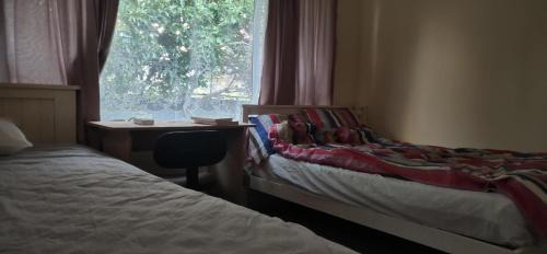 Auckland Casa | 伯爵山庄