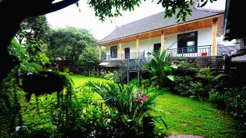 Menghai Casa | 卡拉莱青柠檬庄园