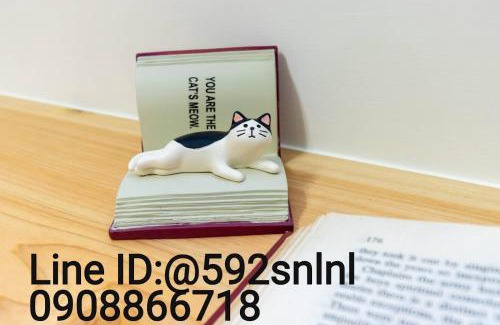 Wujie Casa | 向左走民宿 2025新開幕 4-18人包棟請來電預訂