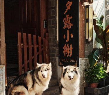 Dayan Old Town Casa | 夕露小榭古城南门店 Xilu Xiaoxie Inn Old Town Lijiang