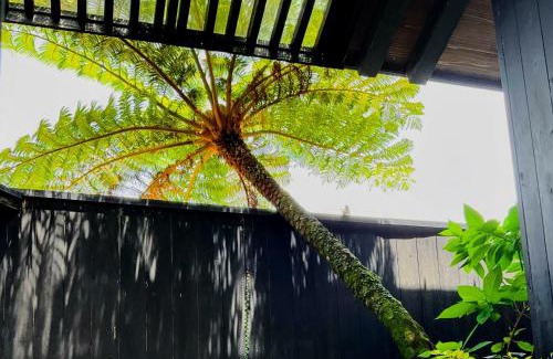 Akaogi Villa | 奄美大島の宿
