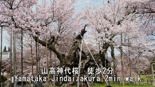 Shirasu Casa | 山高 さくらの里【English support available】