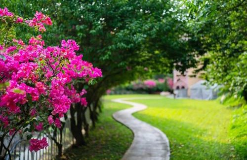 Zhuolan Cama Y Desayuno | 岩川森林民宿 Springcreek B&B