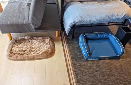 Biei Casa | 徳島のペットと泊まれる付き貸し切り一軒家