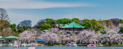 Higashiueno Apartamento | 新上野202 站步行7分钟稻成町站2分钟