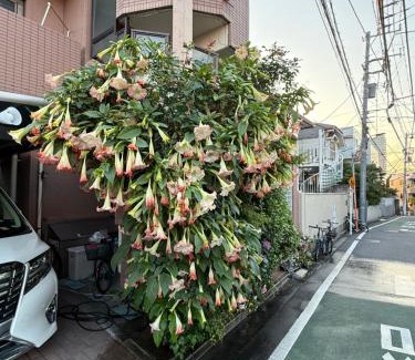 Shinjuku Apartamento | 新宿の家-畳み3部屋 Maison à Shinjuku - pedalmi chambre 3 personnes 106