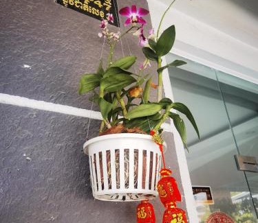 Dangkao Casa | 朋来民宿酒店