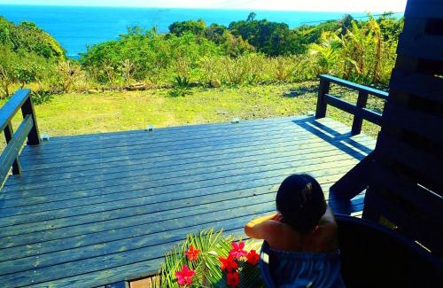 Yakushima Cabina | 森のフェアリー Cottage Morino Fairy All cotage with open-air bath with sea view or river view