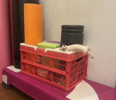 Nasu Casa | 森の中で仲間や家族とゆっくり過ごせる温泉付コテージ 会員制別荘地で広大なプライベート空間 ペット可 那須高原りんどうハウス