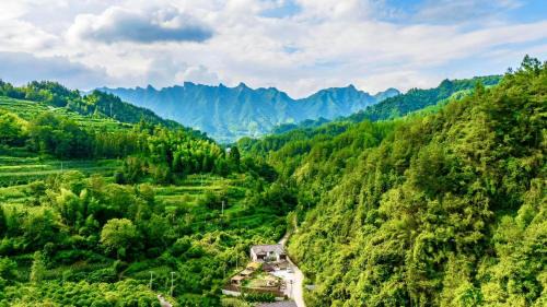 Wulingyuan Cabina | 楊家小院
