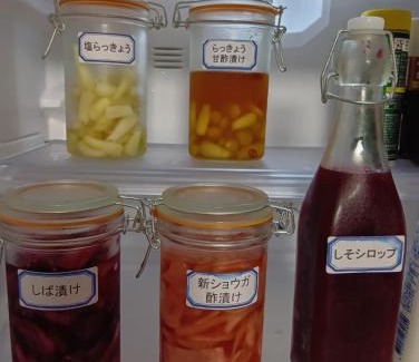 Kitsuki Casa | 横城ゲストハウス 自然豊かなプライベート空間 古民家一棟貸しの宿