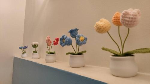 Chishang Casa | 池上投優榻 Smart living B&B
