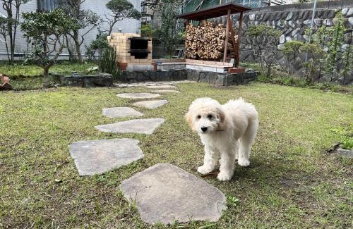 Ninomiya Casa | 湘南ソラル〜二宮の高台・アートな庭付き日本家屋121㎡/高速WiFi/芝生ドッグラン・ピザ窯BBQ有