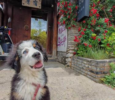 Lijiang Casa | 玉龙白沙普宿客栈