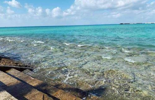 Okinawa Casa | 空港まで車で15分〜ビーチまで徒歩1分〜海沿いの野鶴居