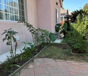 El Monte Casa | 花园式独立屋先锁定