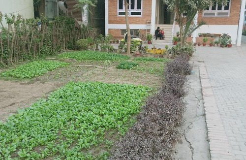 Lumbini Casa | 行者之家SUNFLOWER