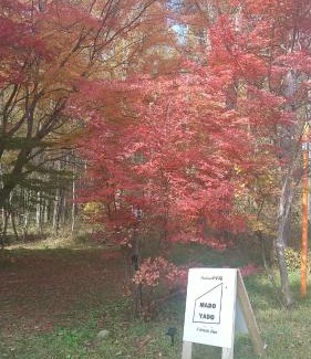 Nagano Apartamento | 貸切別荘Madoyaのお宿 Loiseau bleu Iizuna